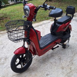 Mini Scooter 500w