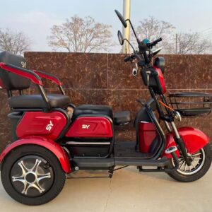Triciclo 1000w eco City 1