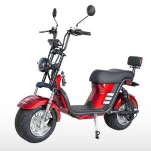 Scooter Elétrica Eco City 1.000w